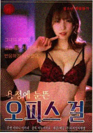 夜航灯塔动画定档配图